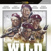 Wild Geese cover picture