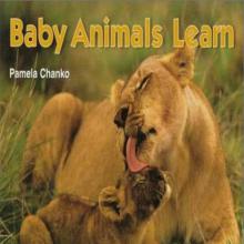 Baby Animals Learn cover picture