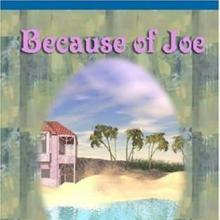 Because Of Joe cover picture