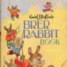 Brer Rabbit Book cover picture