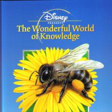 Insects and Spiders cover picture