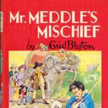 Mr Meddles's Mischief cover picture