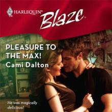 Pleasure To The Max cover picture