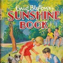 Sunshine Book cover picture