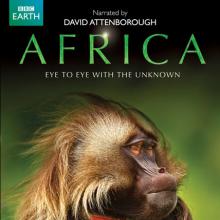 Africa cover picture