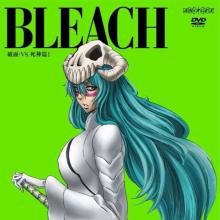 Bleach Season 10: The Arrancar 3: Arrancar vs Shinigami cover picture