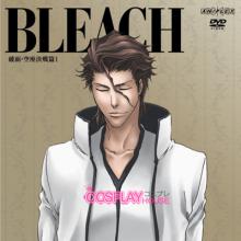 Bleach Season 12: The Arrancar 4: Decisive Battle of Karakura cover picture