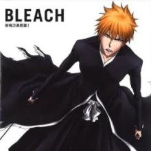 Bleach Season 13: Zanpakuto: The Alternate Tale cover picture