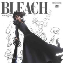 Bleach Season 14: The Arrancar 5: Downfall cover picture