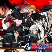 Bleach Season 16: Lost Substitute Shinigami cover picture