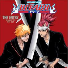 Bleach Season 2: The Entry cover picture