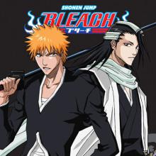 Bleach Season 5: The Assault cover picture