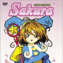 Sakura and the Big Teddy Bear cover picture