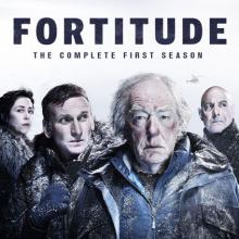 Fortitude Series 1 cover picture
