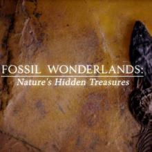 Fossil Wonderlands Nature's Hidden Treasures cover picture