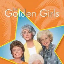 Golden Girls Season 5 cover picture