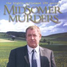 Last Year's Model cover picture