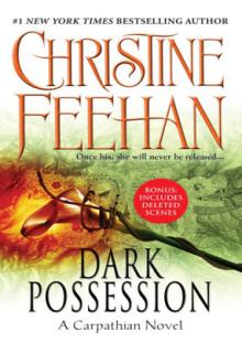 Dark Possession cover picture