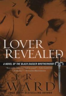 Lover Revealed cover picture