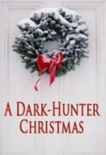A Dark Hunter Christmas cover picture