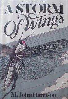 A Storm Of Wings cover picture