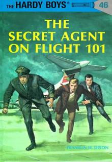 The Secret Agent on Flight 101 cover picture