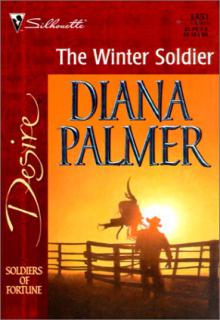 The Winter Soldier cover picture