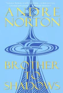 Brother To Shadows cover picture