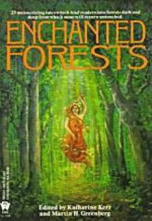 Enchanted Forests cover picture