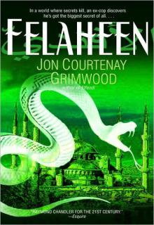 Felaheen cover picture