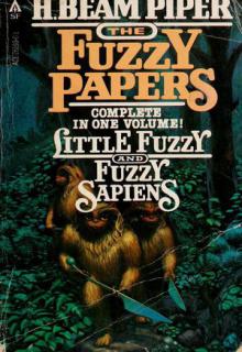 Fuzzy Papers cover picture