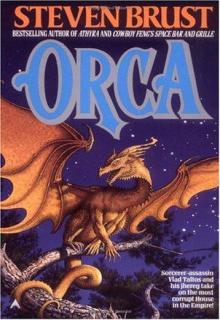 Orca cover picture