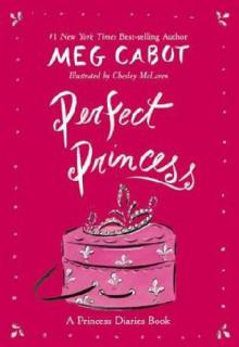 Perfect Princess cover picture