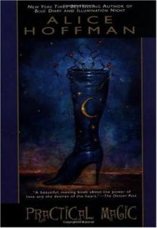 Practical Magic cover picture