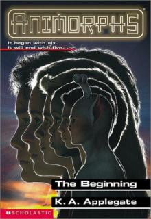 The Beginning cover picture