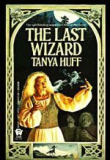 The Last Wizard cover picture