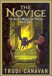 The Novice cover picture