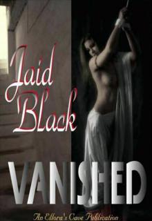 Vanished cover picture