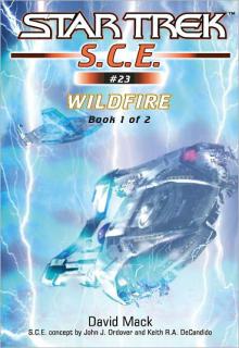 Wildfire Book 1 cover picture