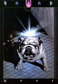 Woof cover picture