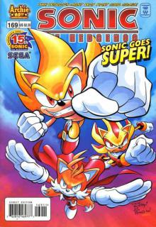 Sonic the Hedgehog 169 cover picture