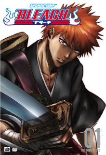 Bleach Season 1: The Substitute cover picture