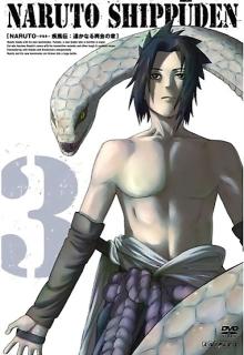 The Secret of the Battle! cover picture