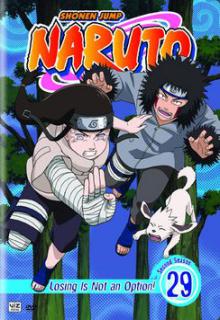 Naruto Volume 29 cover picture