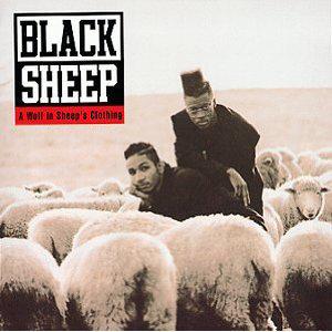 A Wolf in Sheeps Clothing