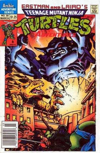 Teenage Mutant Ninja Turtles Adventures 30