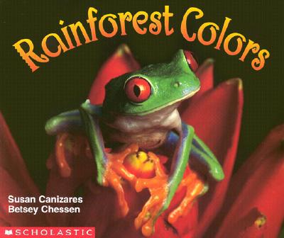 Rainforest Colours