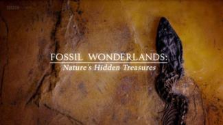 Fossil Wonderlands Nature's Hidden Treasures cover picture