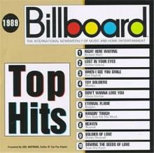 Billboard Top 100 Hits of 1989 cover picture