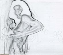 Domestica Domestica cover picture